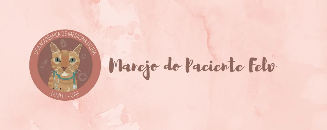 Manejo do Paciente Felv