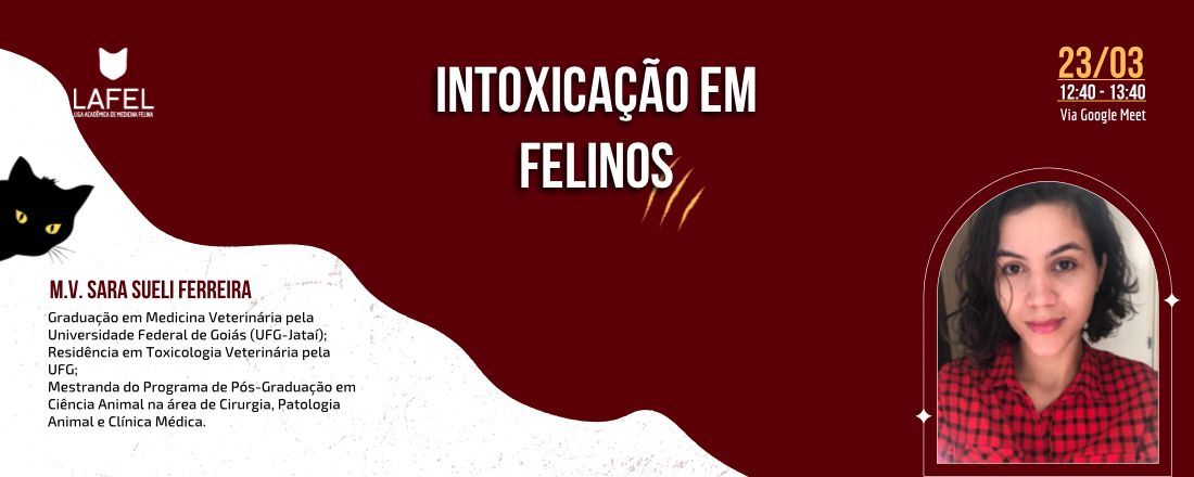 Intoxicação em Felinos