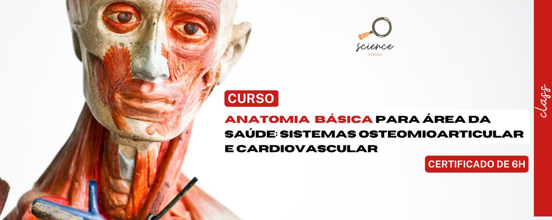 ANATOMIA BÁSICA PARA ÁREA DA SAÚDE