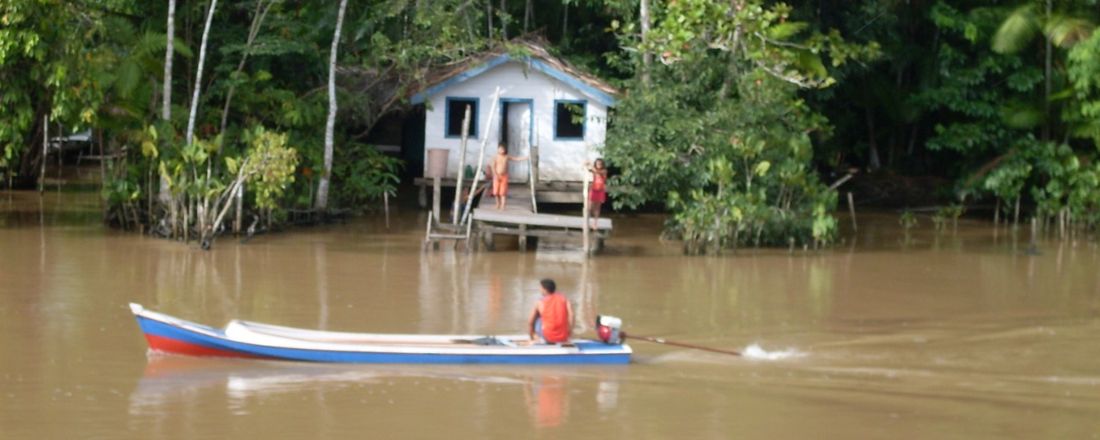 OS DIREITOS HUMANOS DE CRIANÇAS E ADOLESCENTES E SUAS VIOLAÇÕES NA AMAZÔNIA