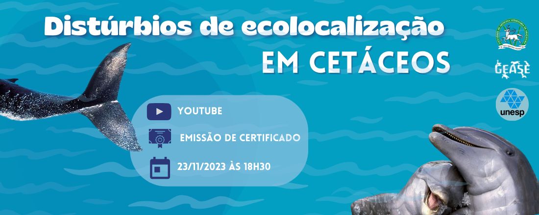 Distúrbios de Ecolocalização em Cetáceos