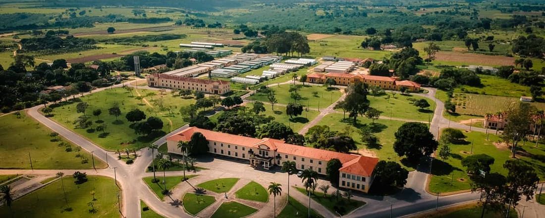 Ensino Remoto e Seus Impactos no Desgaste Físico e Mental