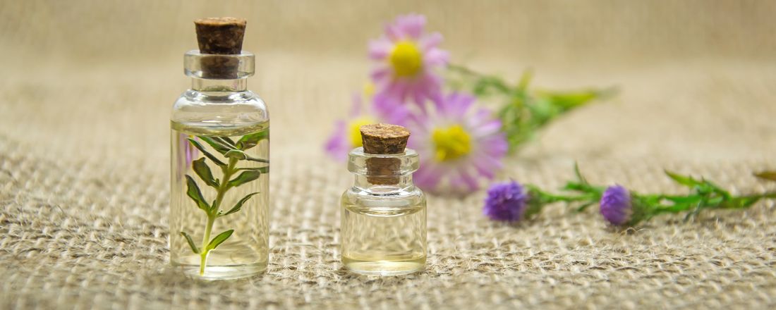 Aromaterapia Básica para uso em Humanos e Animais