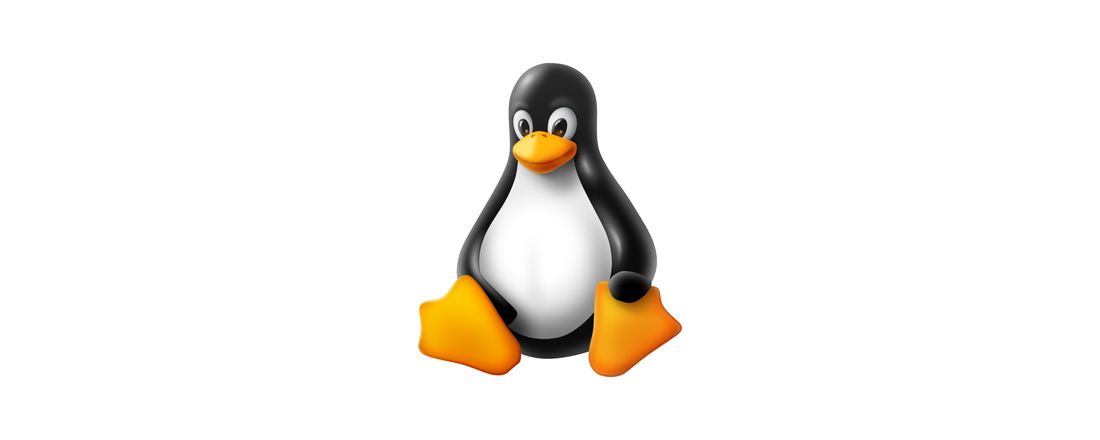 Introdução ao Linux