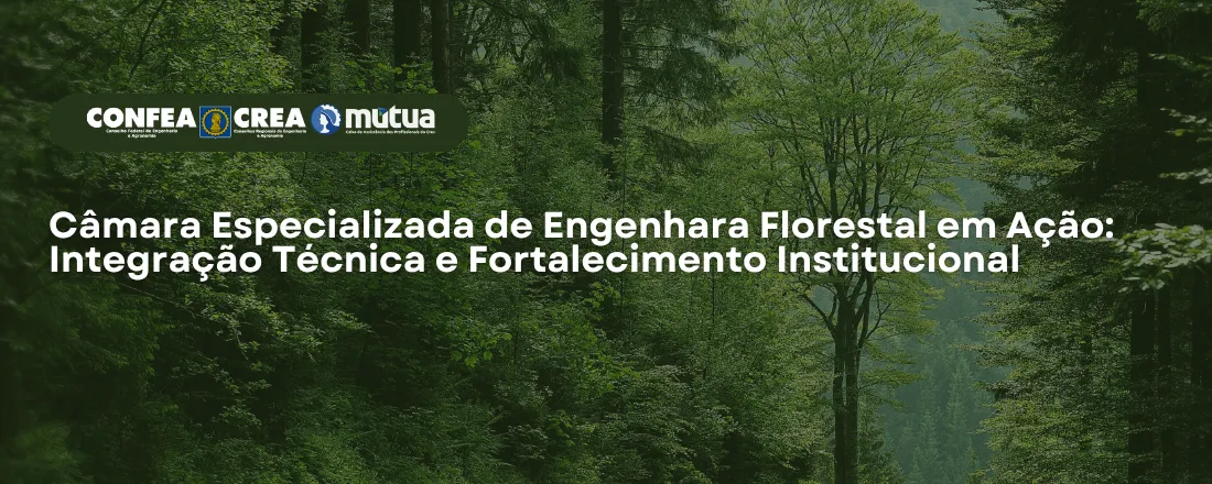 CEEF em Ação: Integração Técnica e Fortalecimento Institucional