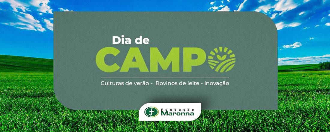 DIA DE CAMPO DE VERÃO 2025