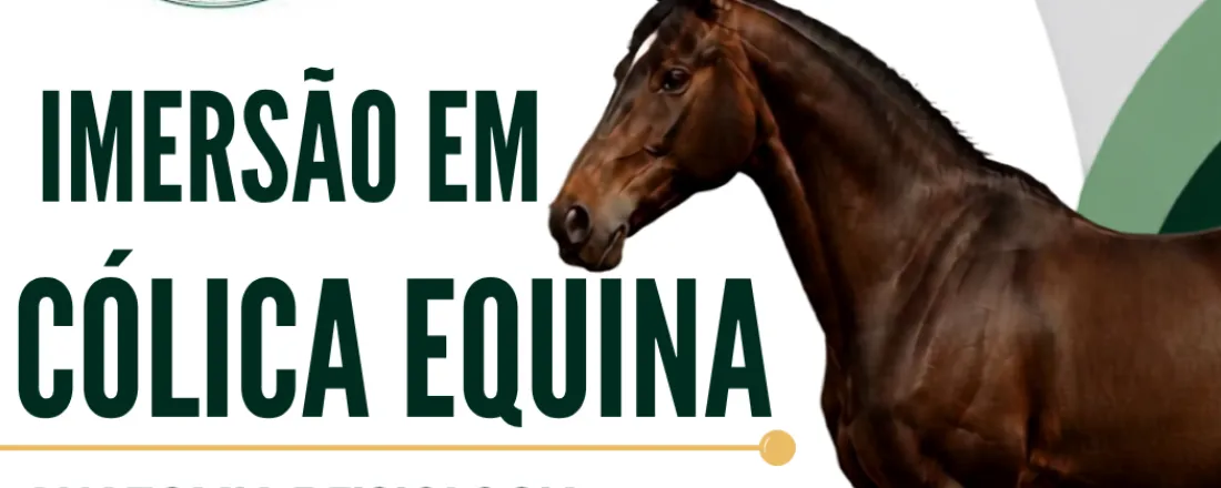 Imersão na Cólica Equina