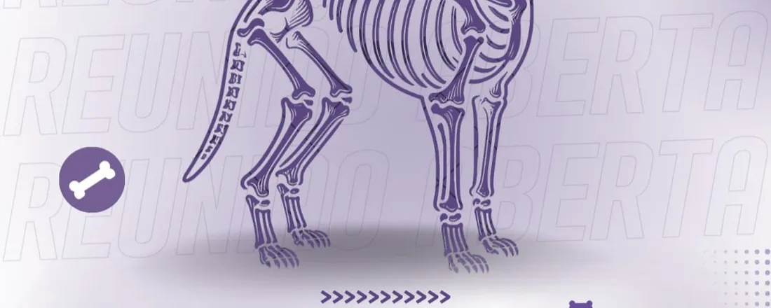 Ortopedia em foco: Questões e Debates com o Prof. David