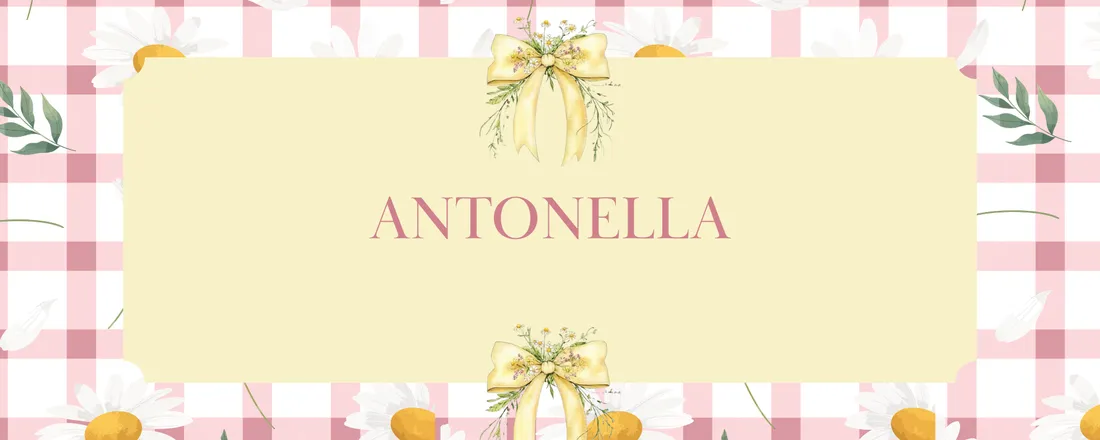 ANIVERSÁRIO ANTONELLA