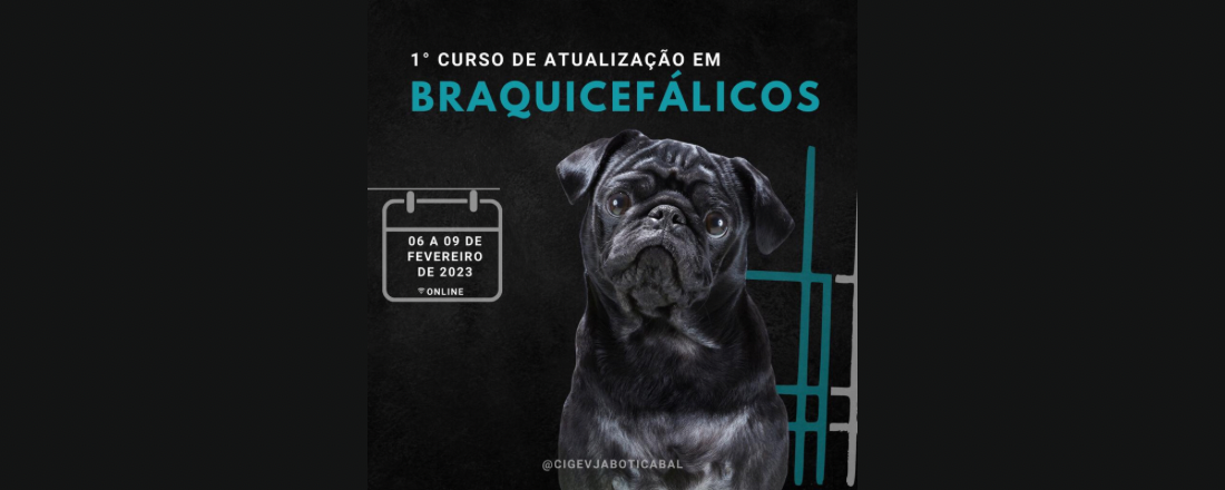 1° Curso de Atualização em Braquicefálicos