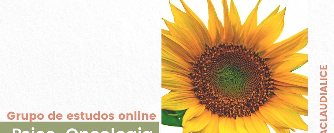 Grupo de Estudos em Psico-Oncologia (2° Turma)