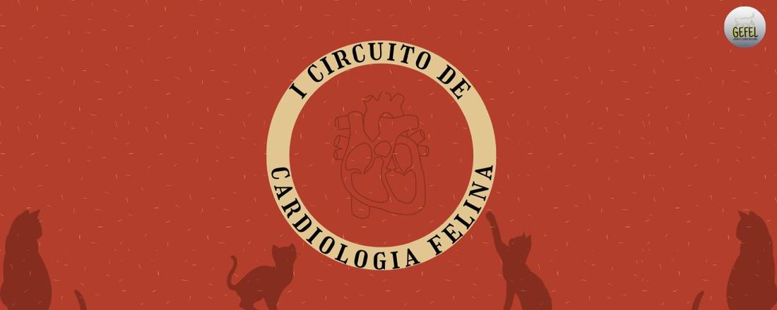 Primeiro Circuito de Cardiologia Felina