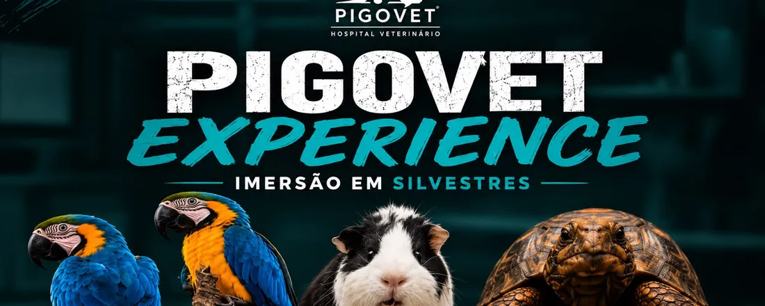 Pigovet Experience