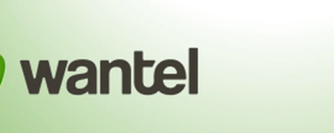 Alinhamento técnico - Atendimento Wantel