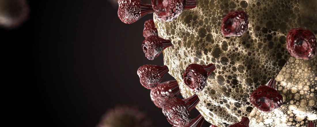 Aspectos Imunológicos da Infecção por SARS-CoV-2