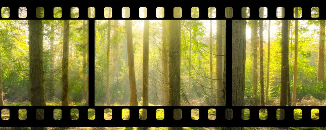 Educação Ambiental e Cinema: reflexões sobre como representamos meio ambiente e concebemos ciência