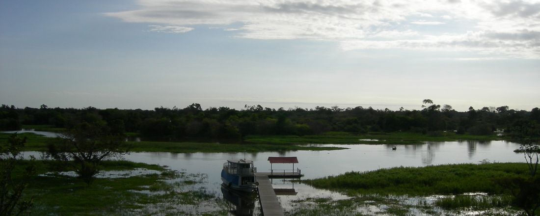 Diversidade Microbiana e Fluxos de Metano na  Amazônia