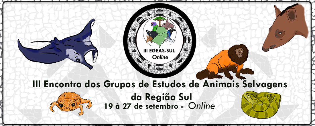 III EGEAS Sul