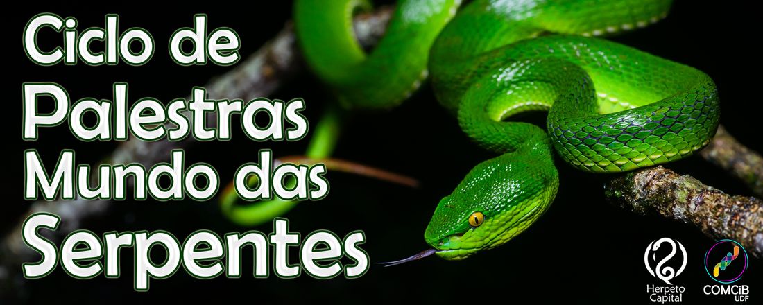 Mundo das Serpentes