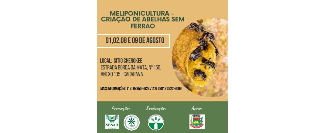 MELIPONICULTURA - CAÇAPAVA