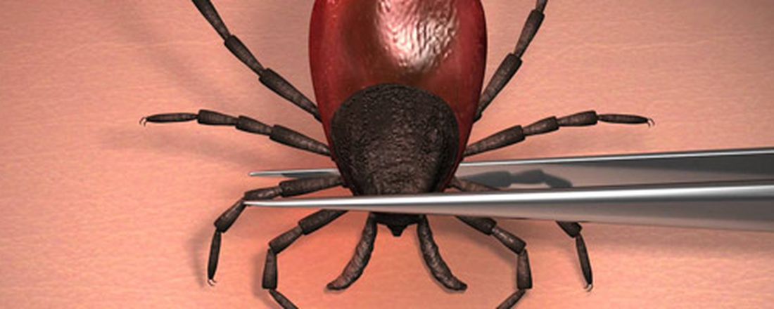 VISITA TÉCNICA AO CENTRO DE PARASITOLOGIA VETERINÁRIA DA ESCOLA DE VETERINÁRIA E ZOOTECNIA DA UNIVERSIDADE FEDERAL DE GOIÁS