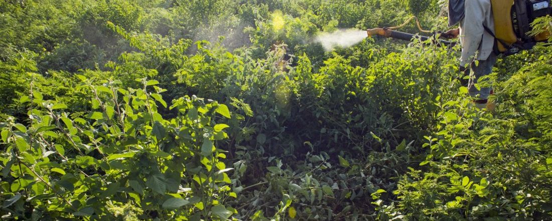 Agricultura Amazônica em Debate