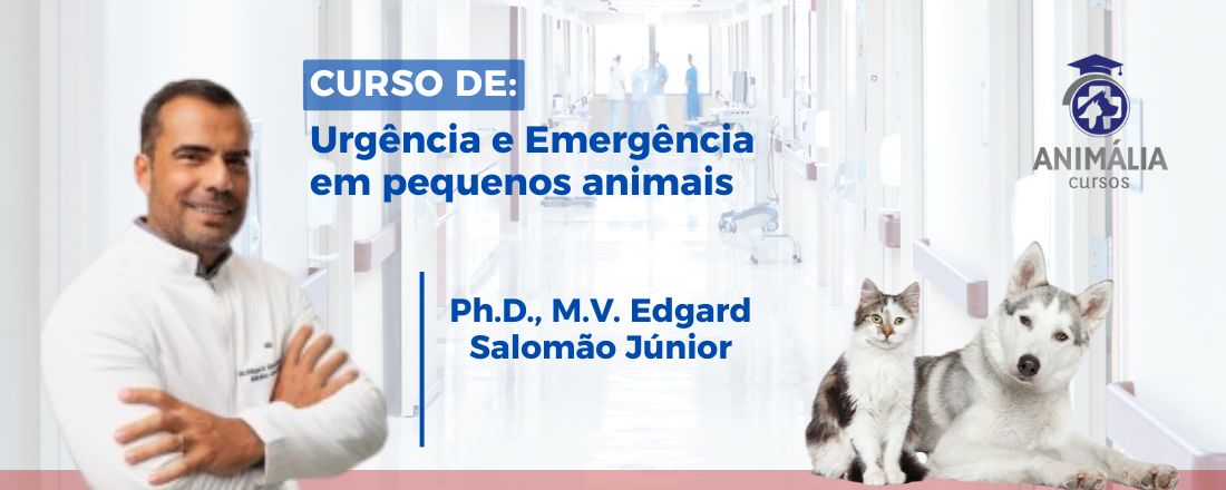Curso de Anestesia em pequenos animais