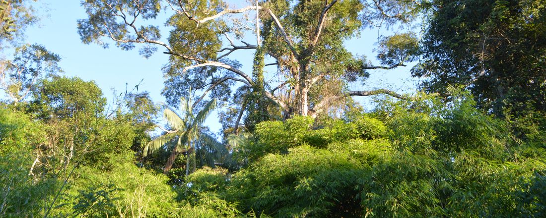 Seminário de apresentação dos resultados do Doutorado Interinstitucional em Ciências de Florestas Tropicais INPA/UFAC