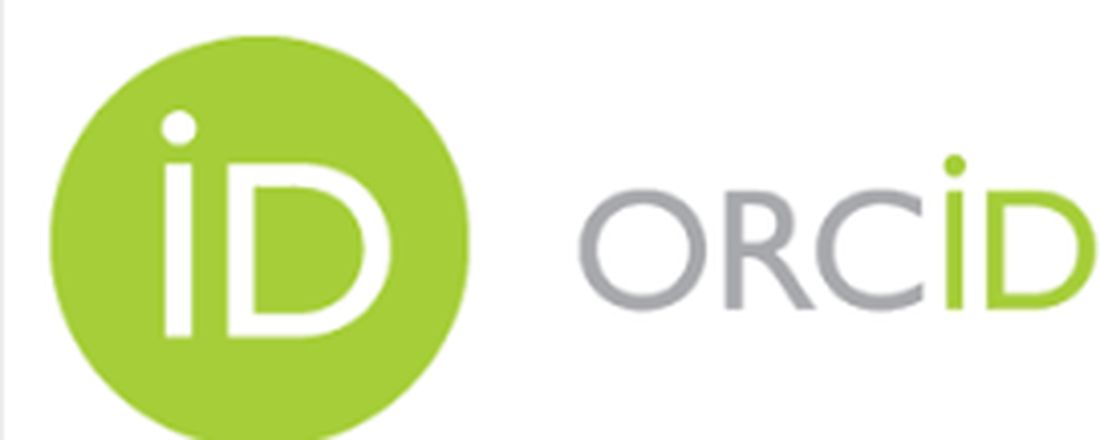 Treinamento 3 online da BC UNIR