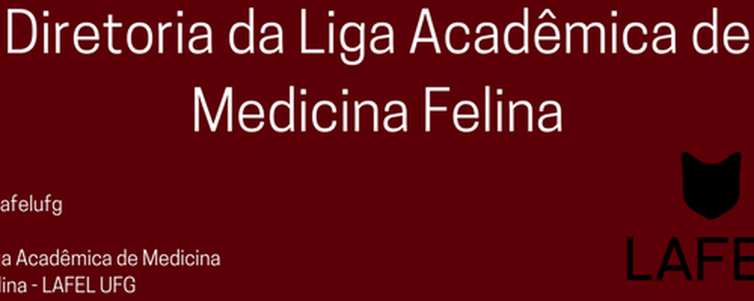 Encontros semanais da Liga Acadêmica de Medicina Felina