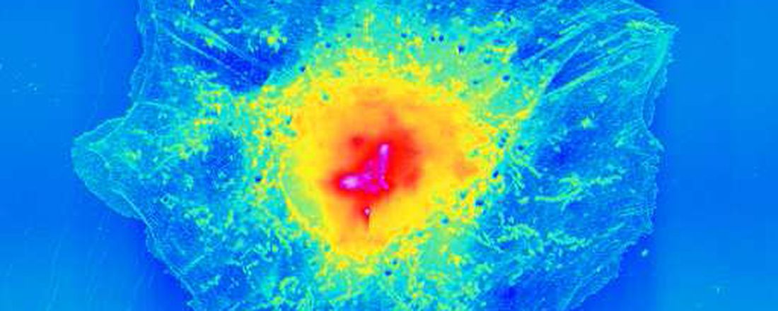 Workshop Scanning Probe Microscopy