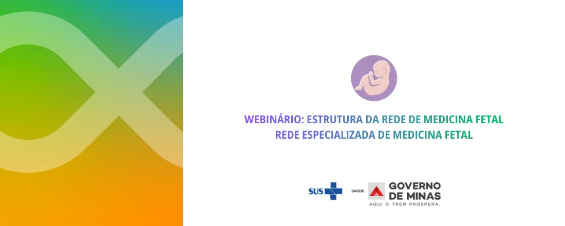 Estrutura da Rede de Medicina Fetal