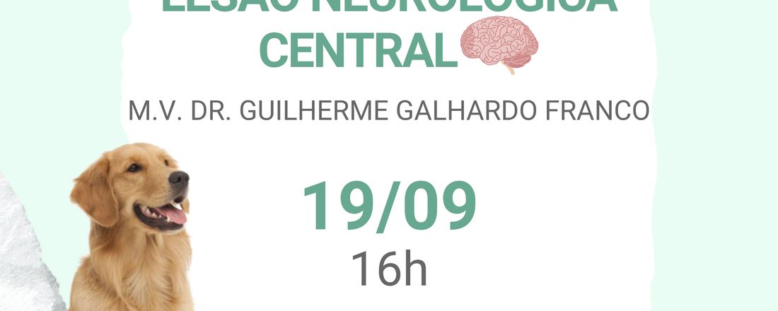 Palestra Localização da lesão neurológica central