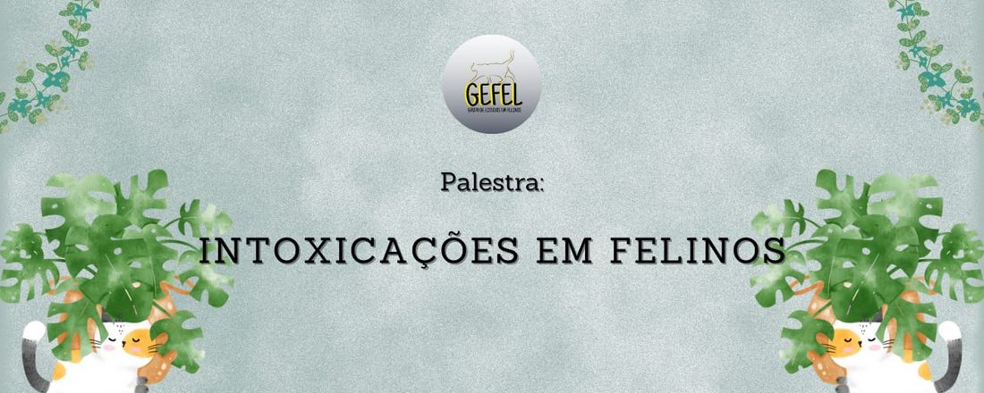 Intoxicações em Felinos