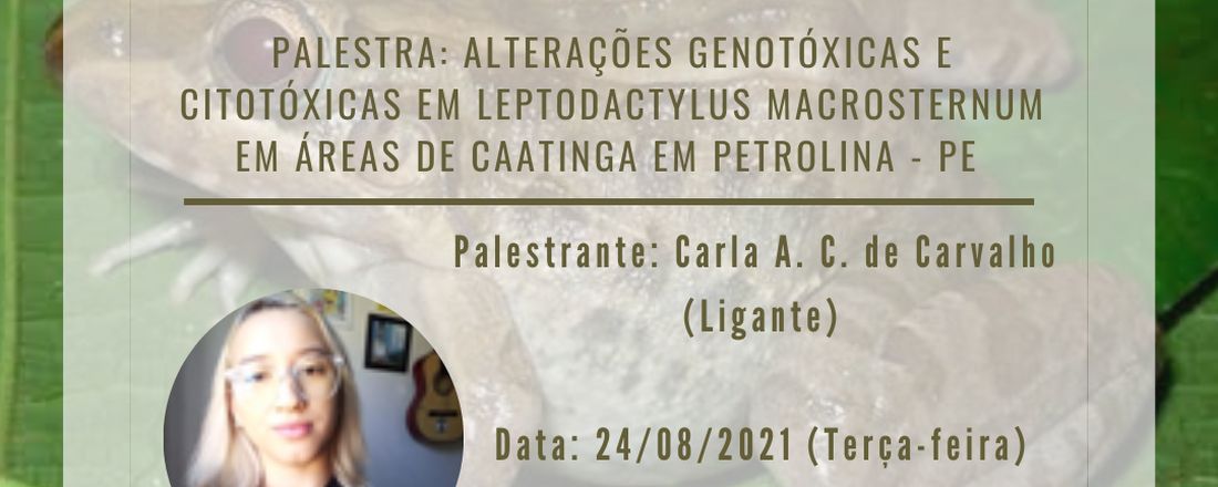 Palestra - Alterações genotóxicas e citotóxicas em Leptodactylus macrosternum em áreas de Caatinga em Petrolina, Pernambuco.