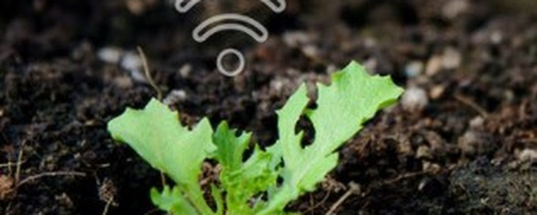 Agroecologia na rede