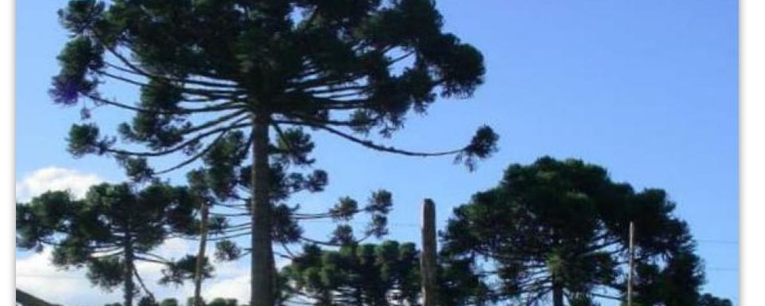 Simpósio Estadual em Ambiente e Saúde: desafios e perspectivas