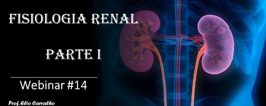 Aula 14 - Fisiologia Renal I