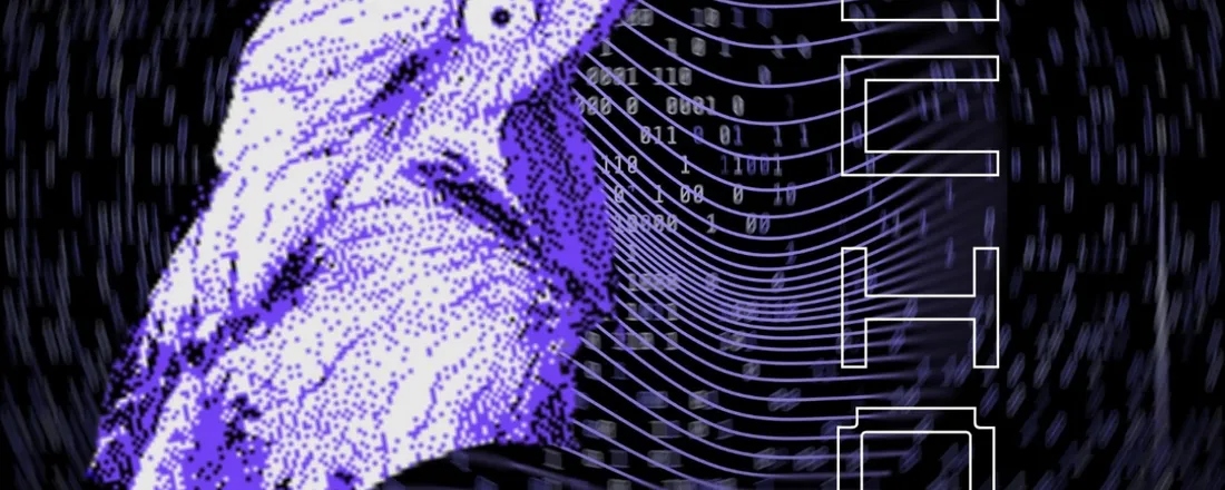 ECHO - Evento de Conexões, Hackin e Operações em Segurança