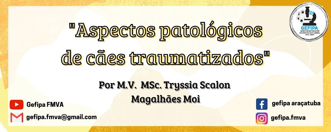 Aspectos patológicos de cães traumatizados