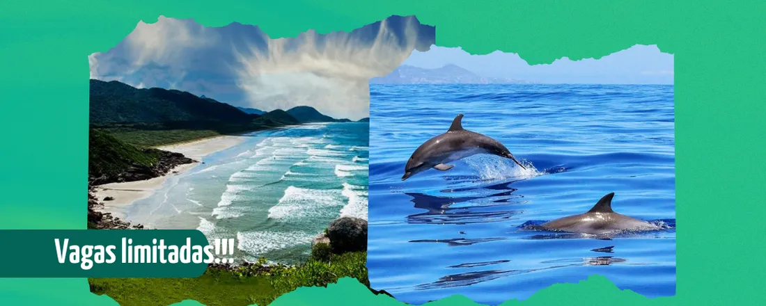 Ilha do Cardoso – Atividade de Campo