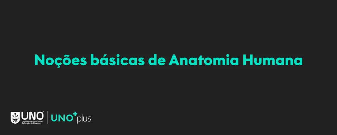 Noções básicas de Anatomia Humana - 10 horas