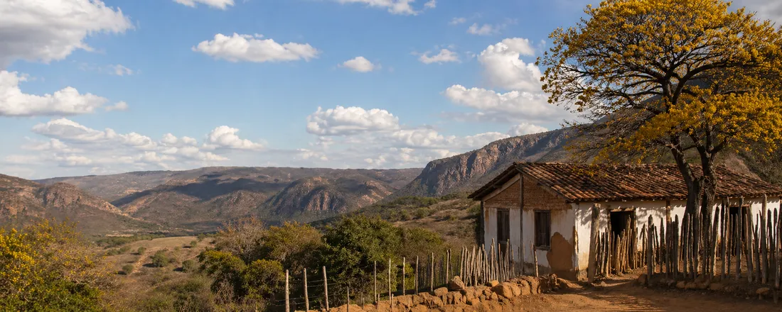 Paisagens do Sertão - Encontro de Saberes