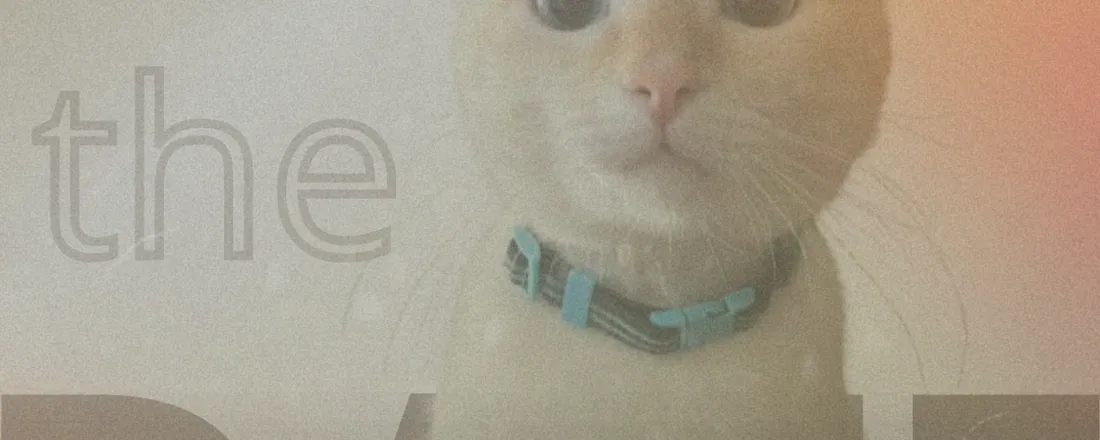 I Curso de Atualização em Anestesia de Pequenos Animais