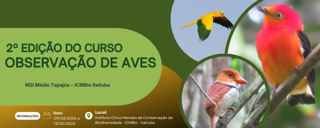 2º Edição do Curso de Observação de Aves