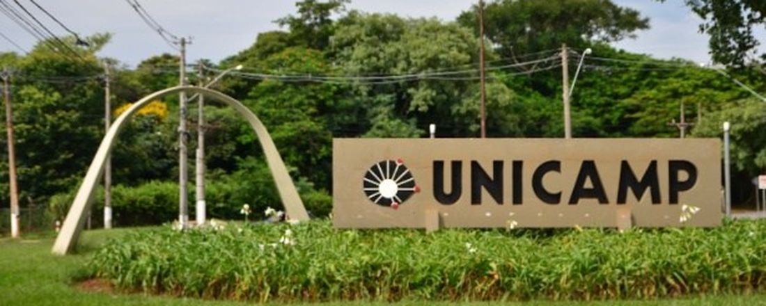 IX Seminário Interno do Programa de Pós-Graduação Multiunidades em Ensino de Ciências e Matemática (PECIM) UNICAMP