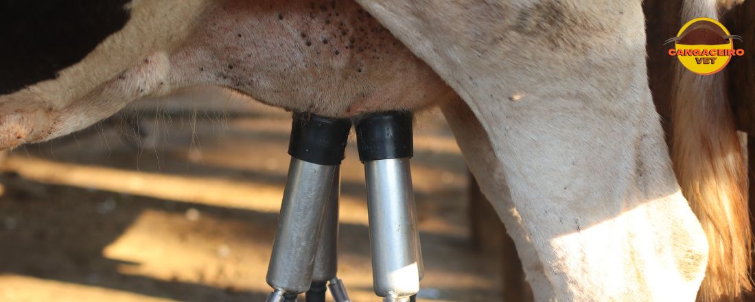 TREINAMENTO EM INSPEÇÃO DE PRODUTOS DE ORIGEM ANIMAL