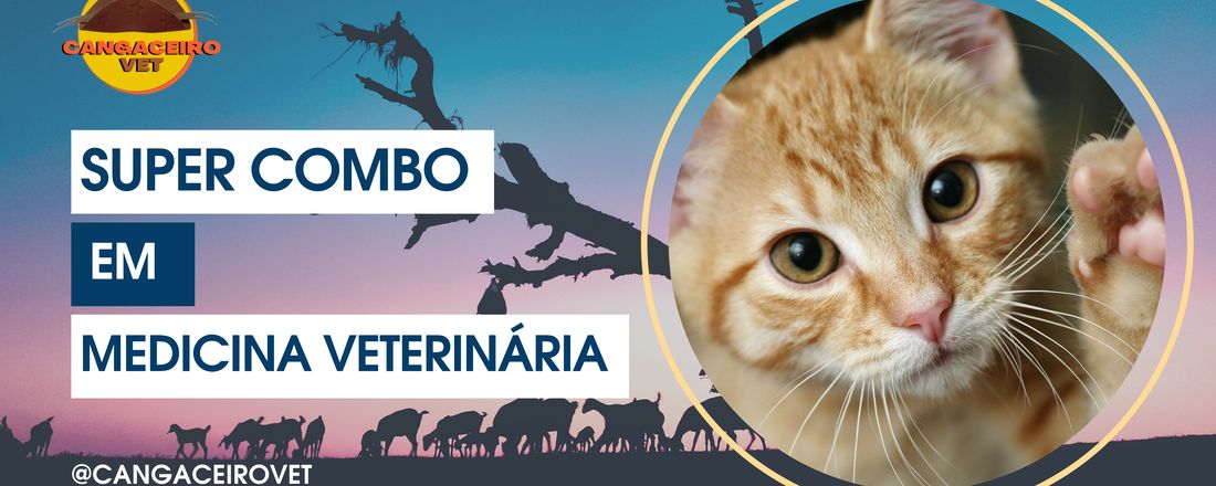 SUPER COMBO EM MEDICINA VETERINÁRIA: 40 HORAS