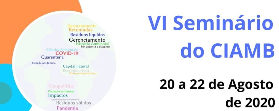VI Seminário do CIAMB