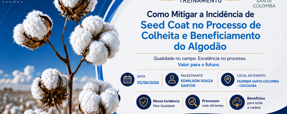 Como Mitigar a Incidência de Seed Coat no Processo de Colheita e Beneficiamento do Algodão